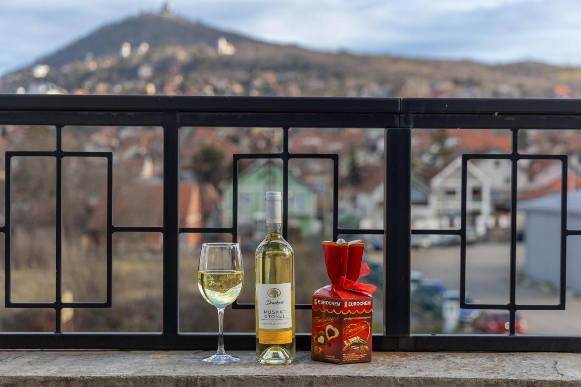 Helvecija 1880 Hotel Vrsac Ngoại thất bức ảnh